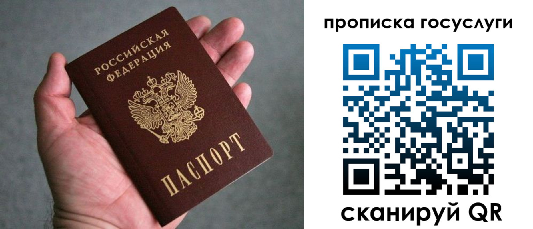 прописка 2025 в Ивантеевке